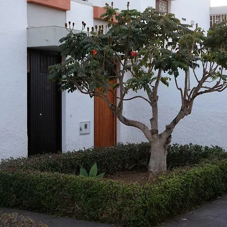 Zuzicka Primavera Apartamento Costa del Silencio