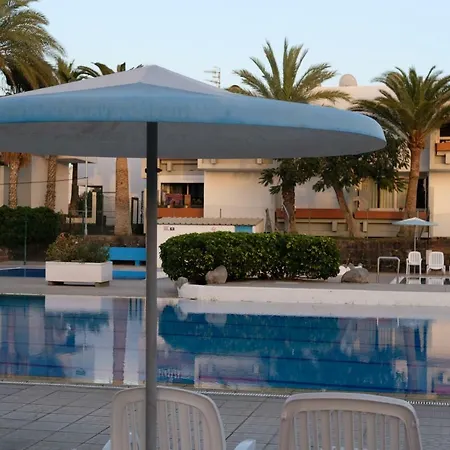 Zuzicka Primavera طوستا ديل سيلونثيو